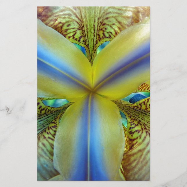 Papelería Interior de Iris (Anverso)