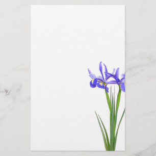Papelería Iris púrpura