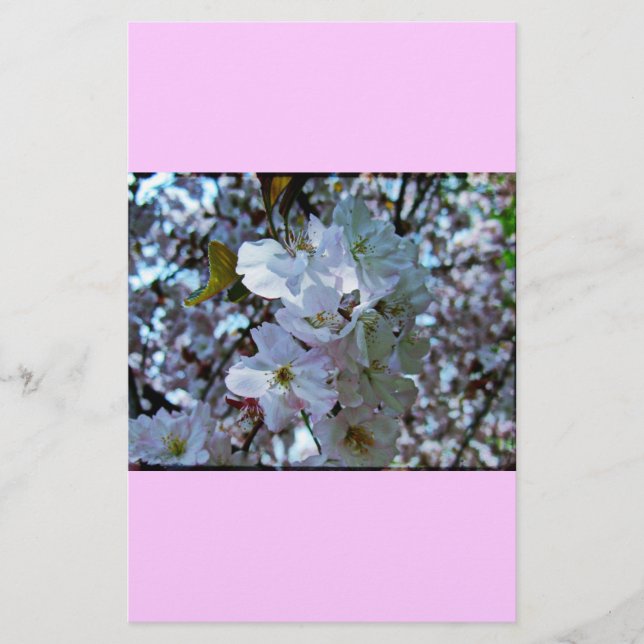 Papelería Jardín Botánico de Brooklyn de primavera (Anverso)
