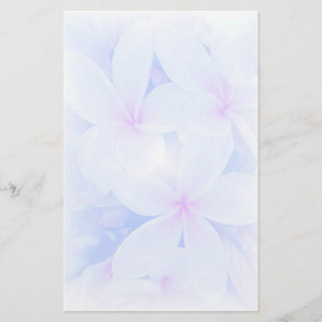 Papelería Jardín de las naturalezas (Anverso)