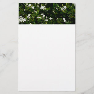 Papelería Jazmín Flores Tropicales Florales Botánicas