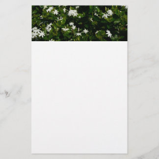 Papelería Jazmín Flores Tropicales Florales Botánicas