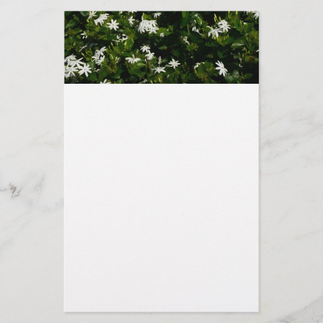Papelería Jazmín Flores Tropicales Florales Botánicas (Anverso)
