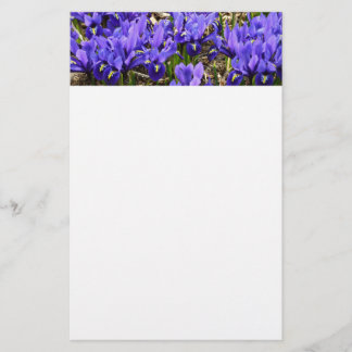 Papelería Katherine Hodgkin Iris Purple Spring Floral