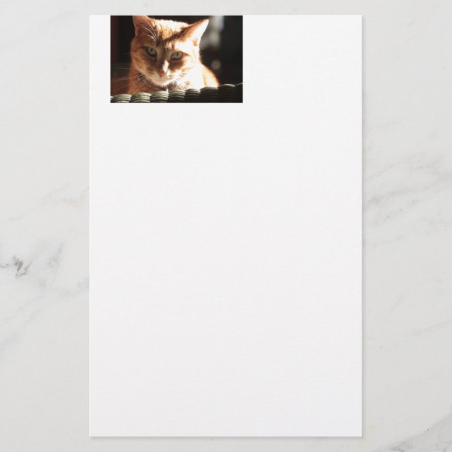 Papelería ¡Kute Kitty! (Anverso)