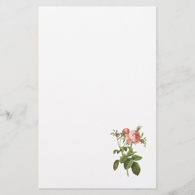 Papelería la col subió (foliacea del centifolia de Rosa) por (Anverso)