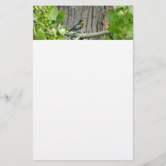 Papelería La fotografía de la naturaleza bárbara de Audubon