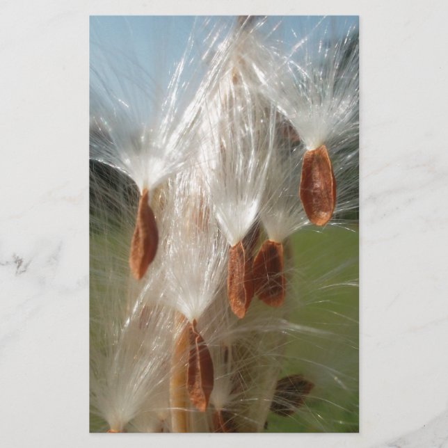 Papelería La hermosa magia de Milkweed: El diseño de un vuel (Anverso)