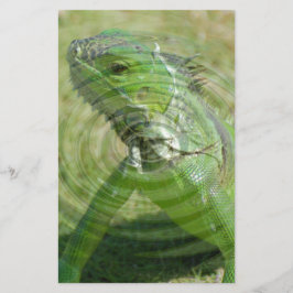 Papelería La Iguana Verde
