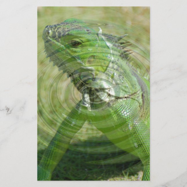 Papelería La iguana verde (Anverso)