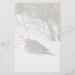 Papelería La paloma en la historia de la nieve