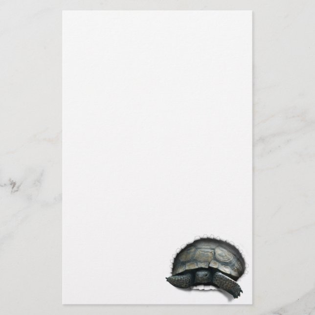 Papelería La Tortuga del Desierto sale (Anverso)