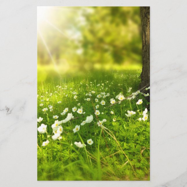 Papelería Las alegrías de la primavera (Anverso)