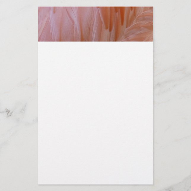 Papelería Las plumas flamencas en tonos rosas (Anverso)