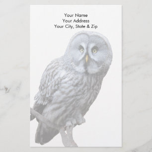 Papelería Lechuza gris grande