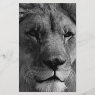 Papelería León blanco y negro