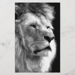 Papelería León Blanco y Negro