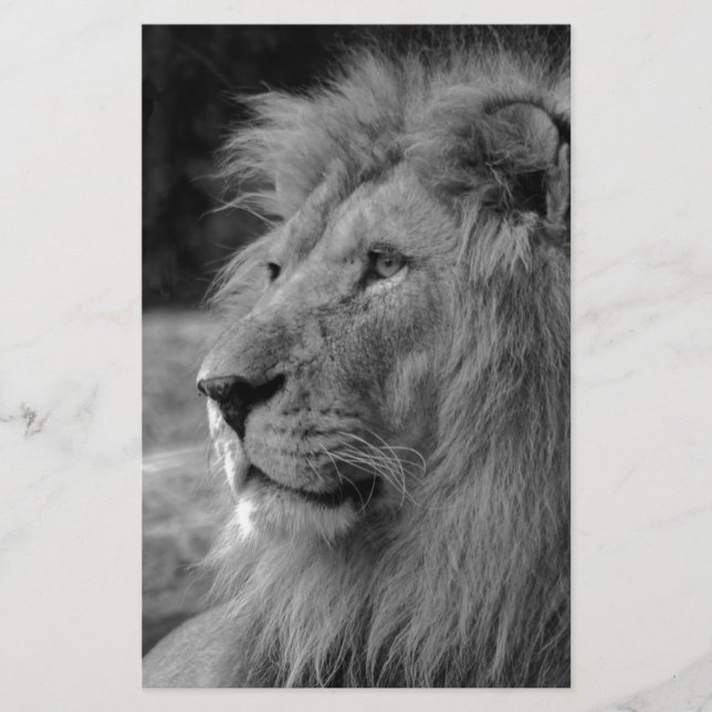 Papelería León blanco y negro - Animal salvaje (Anverso)
