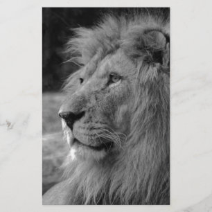 Papelería León negro y blanco - Animal salvaje