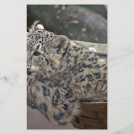 Papelería Leopardo de las nieves