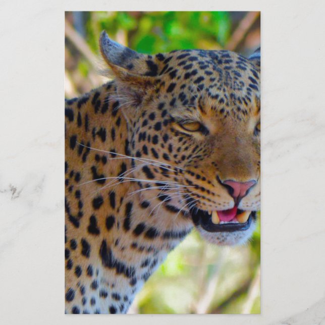 Papelería Leopardo manchado (Anverso)