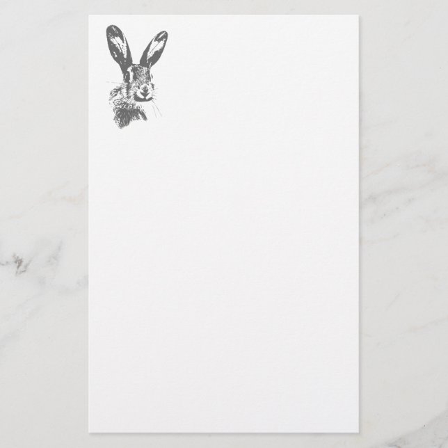 Papelería Liebre (Anverso)