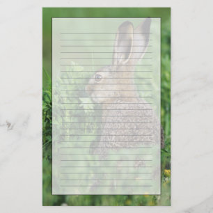 Papelería Liebre parda, Lepus europaeus, joven comiendo,