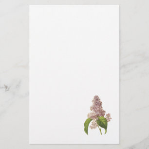 Papelería lila (SP del Syringa.) por Redouté