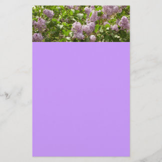 Papelería Lilac Bush hermosas flores de primavera morada
