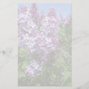 Papelería Lilas púrpuras Fade25