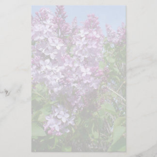 Papelería Lilas púrpuras Fade25