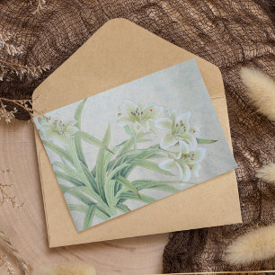 Papelería Lirio blanco