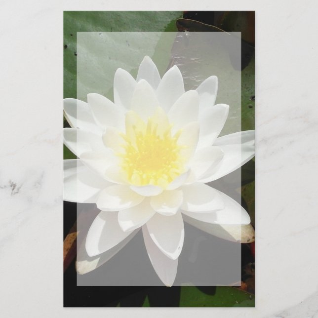 Papelería Lirio de agua (Anverso)