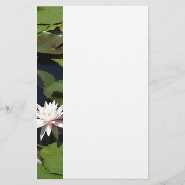 Papelería Lirio de agua (Anverso)