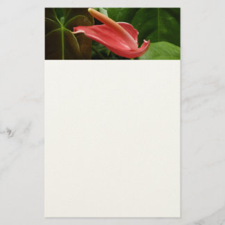 Papelería Lirio de Calla Rosa Elegante Floral