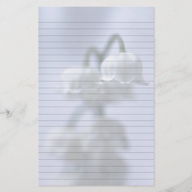 Papelería Lirio De Flores Del Valle (Anverso)