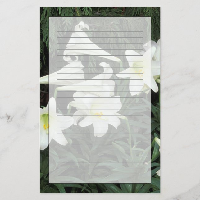Papelería Lirio de Pascua (Lilium regale) (Anverso)
