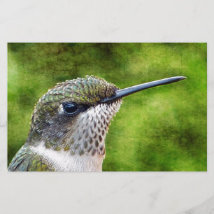 Papelería Little Hummer