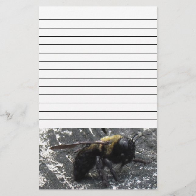 Papelería Lluvias (Anverso)