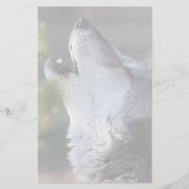 Papelería lobo (Anverso)