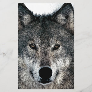 Papelería Lobo Gris
