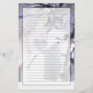 Papelería Lobo Gris, Canis lupus, Animal de Película (Utah)