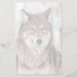 Papelería Lobo gris (Canis lupus) con una espalda de oído