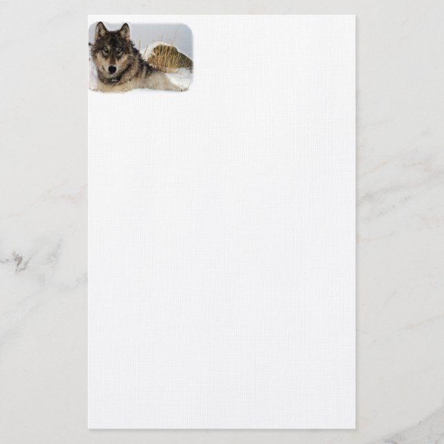 Papelería Lobo gris o lobo de madera que pone en la nieve (Anverso)