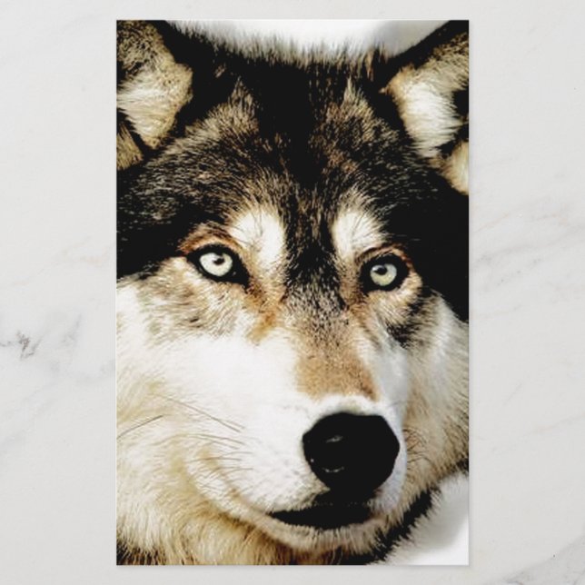 Papelería Lobo Motivador Único (Anverso)