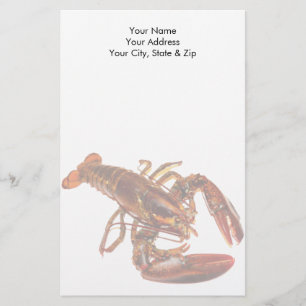 Papelería Lobster