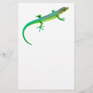Papelería Los efectos de escritorio gigantes del Gecko del