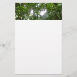 Papelería Luz solar a través de la selva tropical con cubier