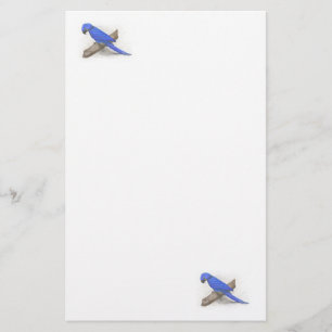 Papelería Macaw Stationery