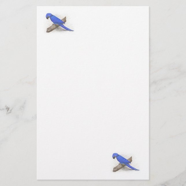 Papelería Macaw Stationery (Anverso)